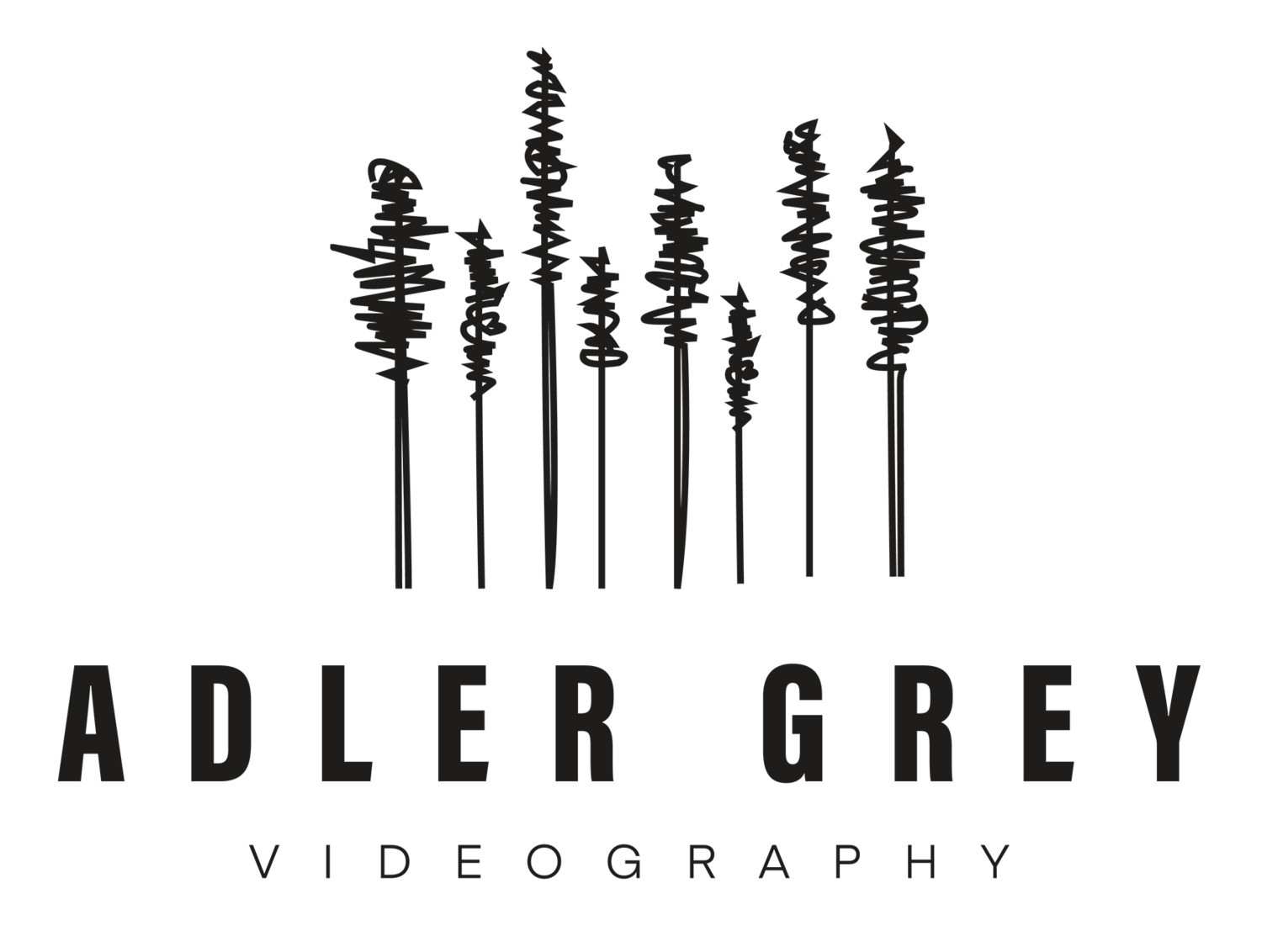 Adler Grey Videography