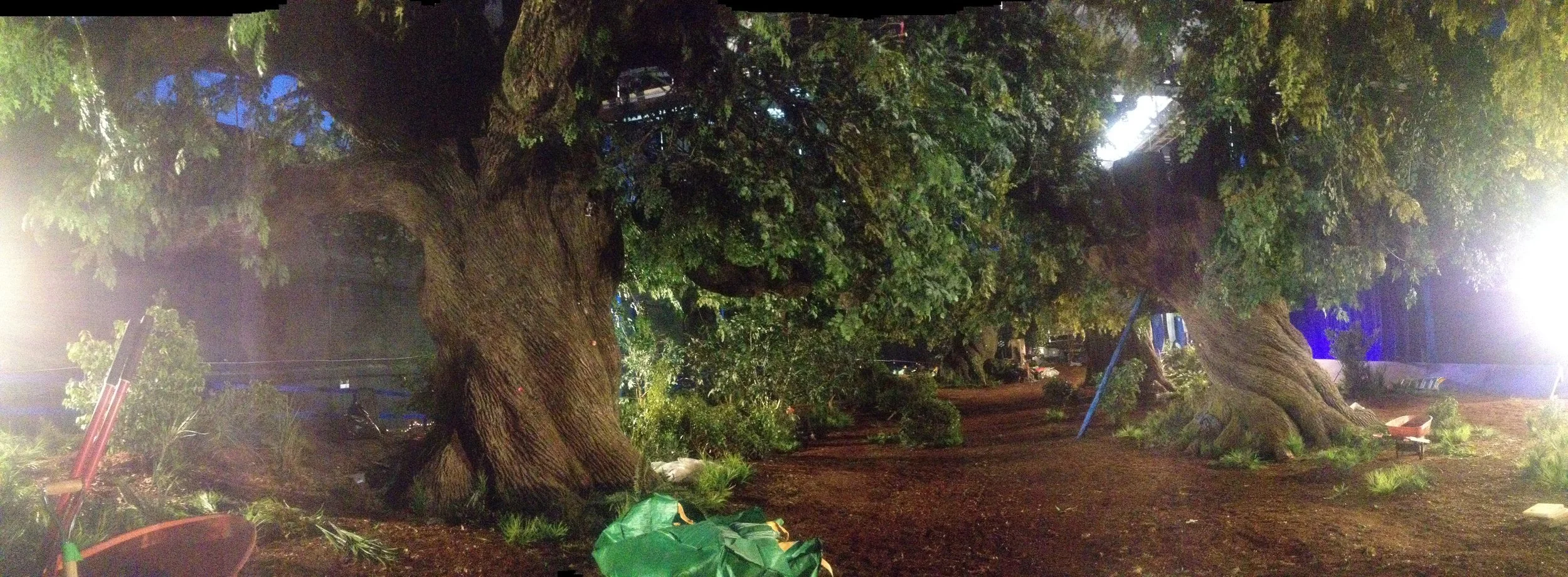  In progress photos of massive Elwynn Forest stage set 