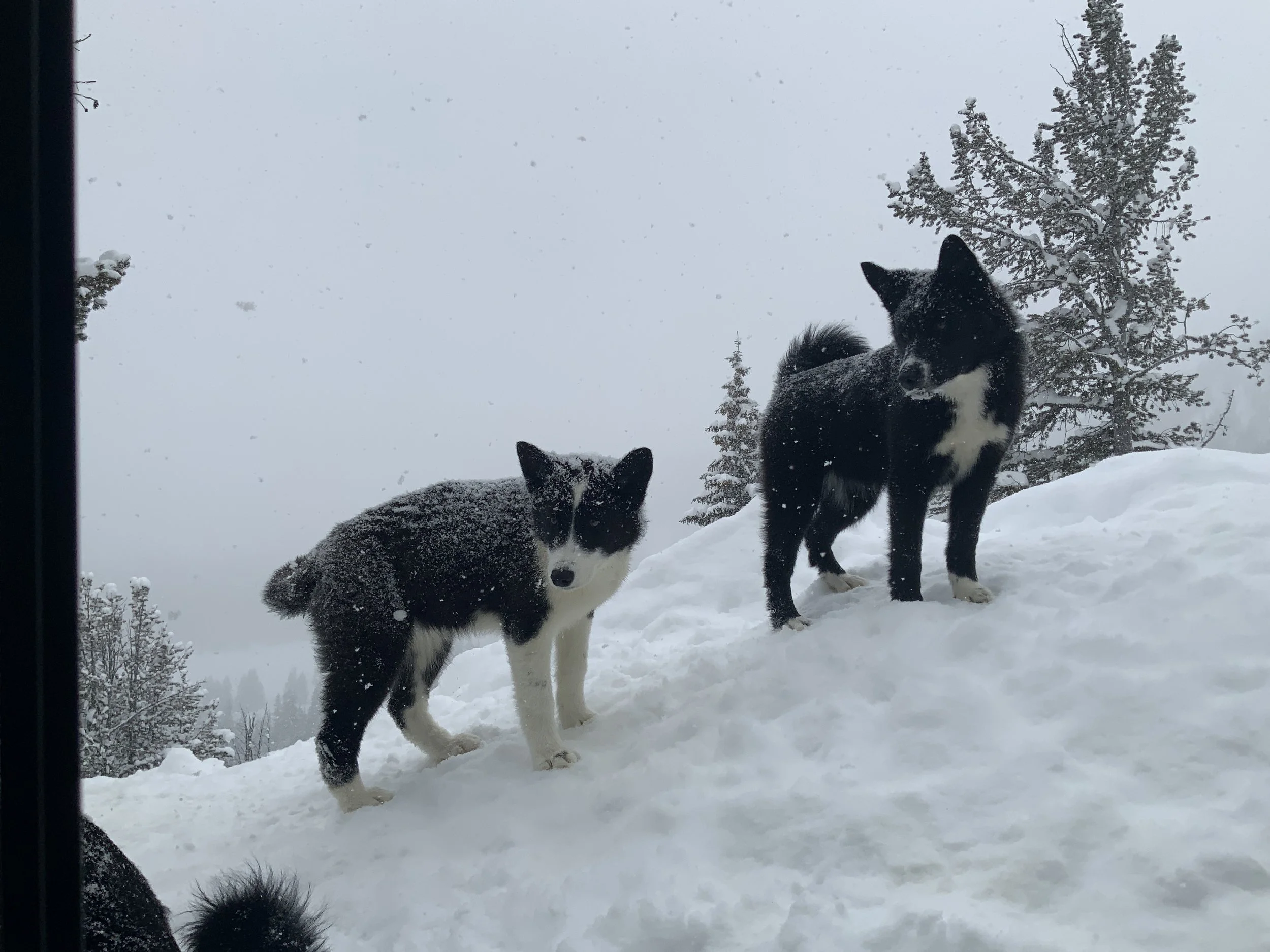 30” Snow Storm March/26/2023