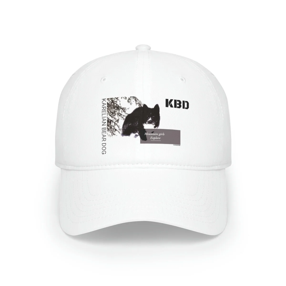 208b75a596903c63a527d25c91feb8b2