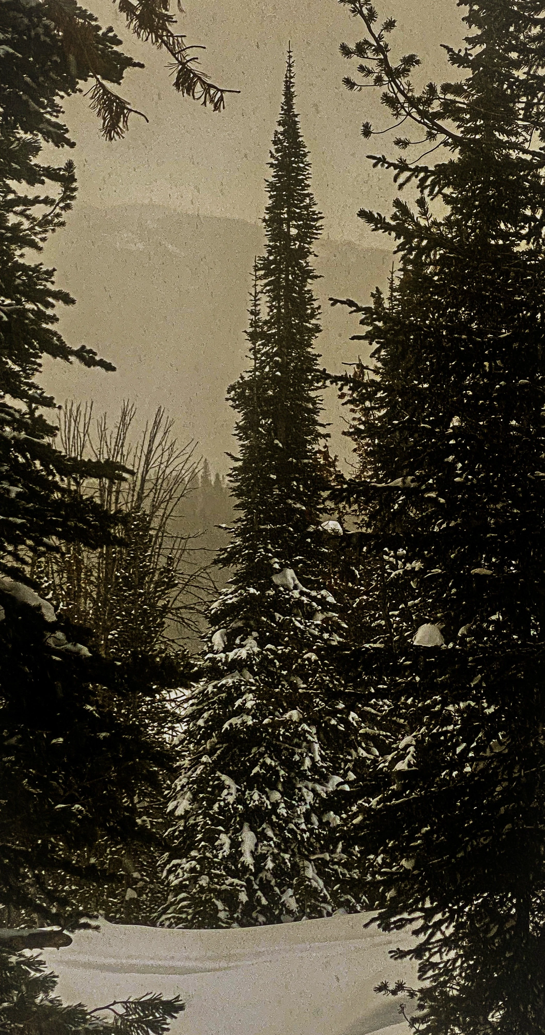 22F25763-D4AA-4149-BC55-176F4B6EBA7F.jpeg