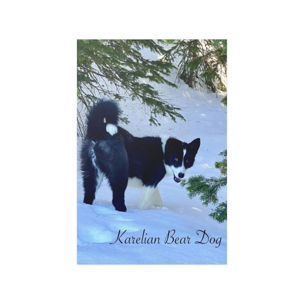 3fa60f61651ee35bdcdc9b2a8441f28a