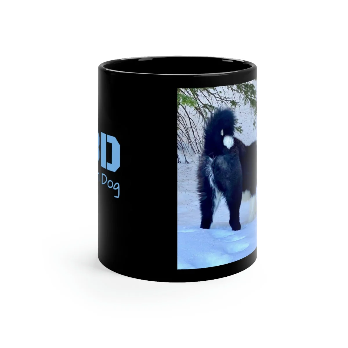 d07e322fddfea1cff20ee3842012e389