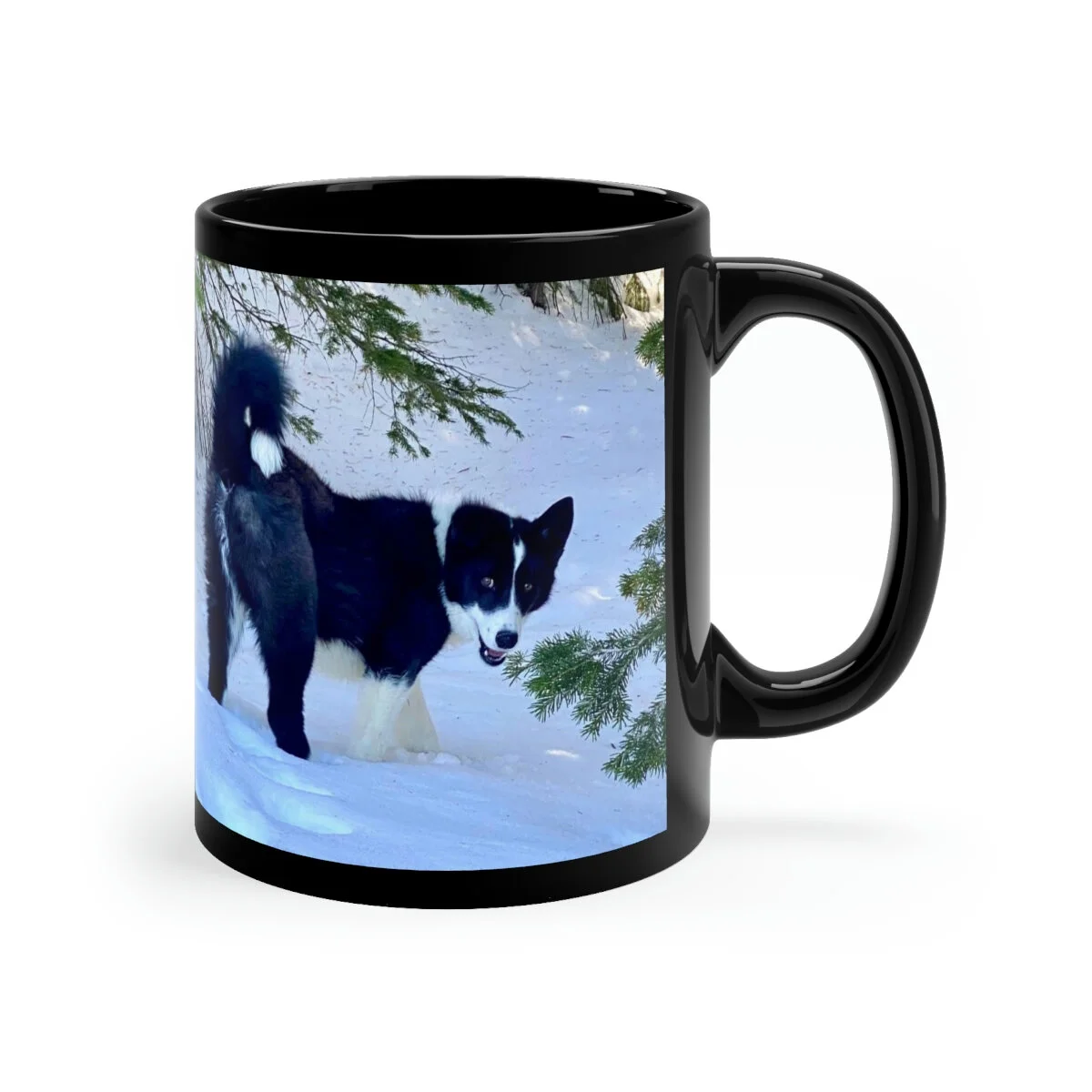 c9a45a79df436fd5fe44091e6e7272f7