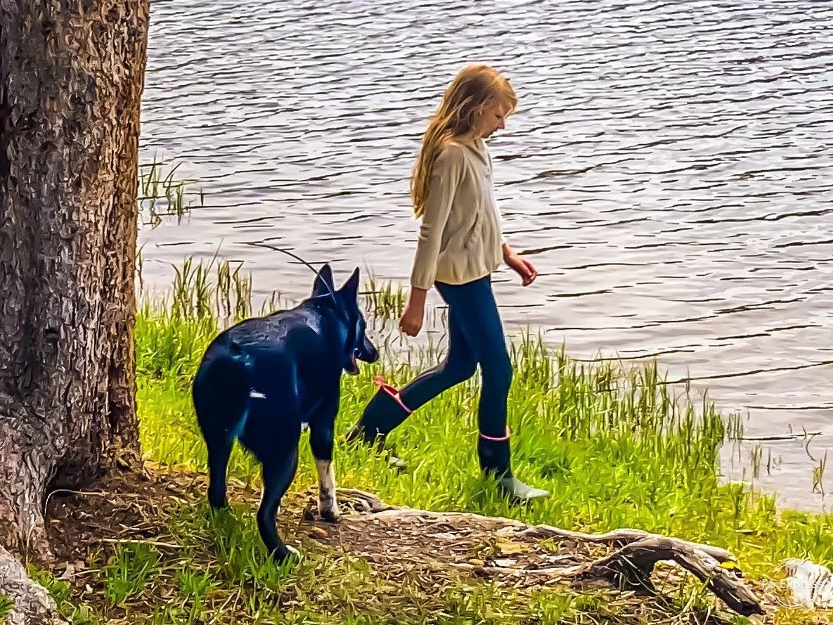 Dog training @ Stewart Lake with Dad, Hunter &amp; Nanna, this is our dogs first introduction to Grizzly &amp; Black Bear smells @ a local bear watering hole. Dogs immediately new this was bear country and were on high alert. Nice to see them in acti