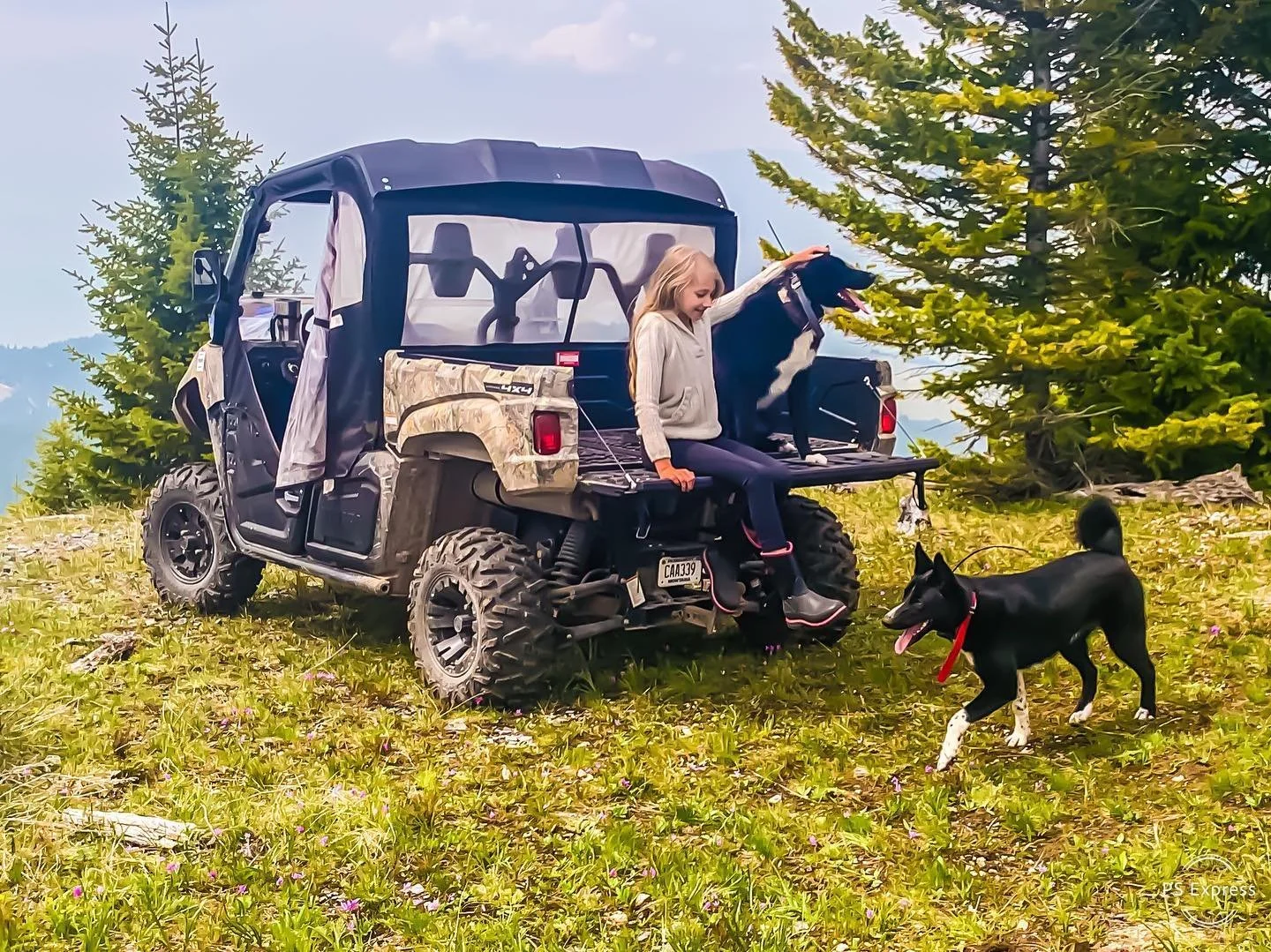 Enjoying my Karelian Bear 🐕 dogs in their natural environment. I&rsquo;m sitting at 7100&rsquo; in the middle of remote #Montana grizzly bear country.
.
.
.
.
#travelwithkids #adventurekid #outdoorkids #letsgosomewhere #bringthekids #havekidswilltra