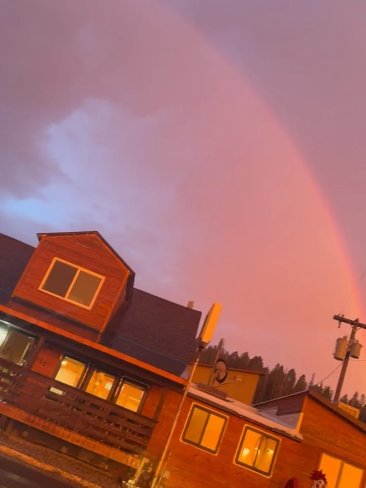 Pretty moment caught while the whack storm last night calmed down for a moment. I thought I&rsquo;d share :)