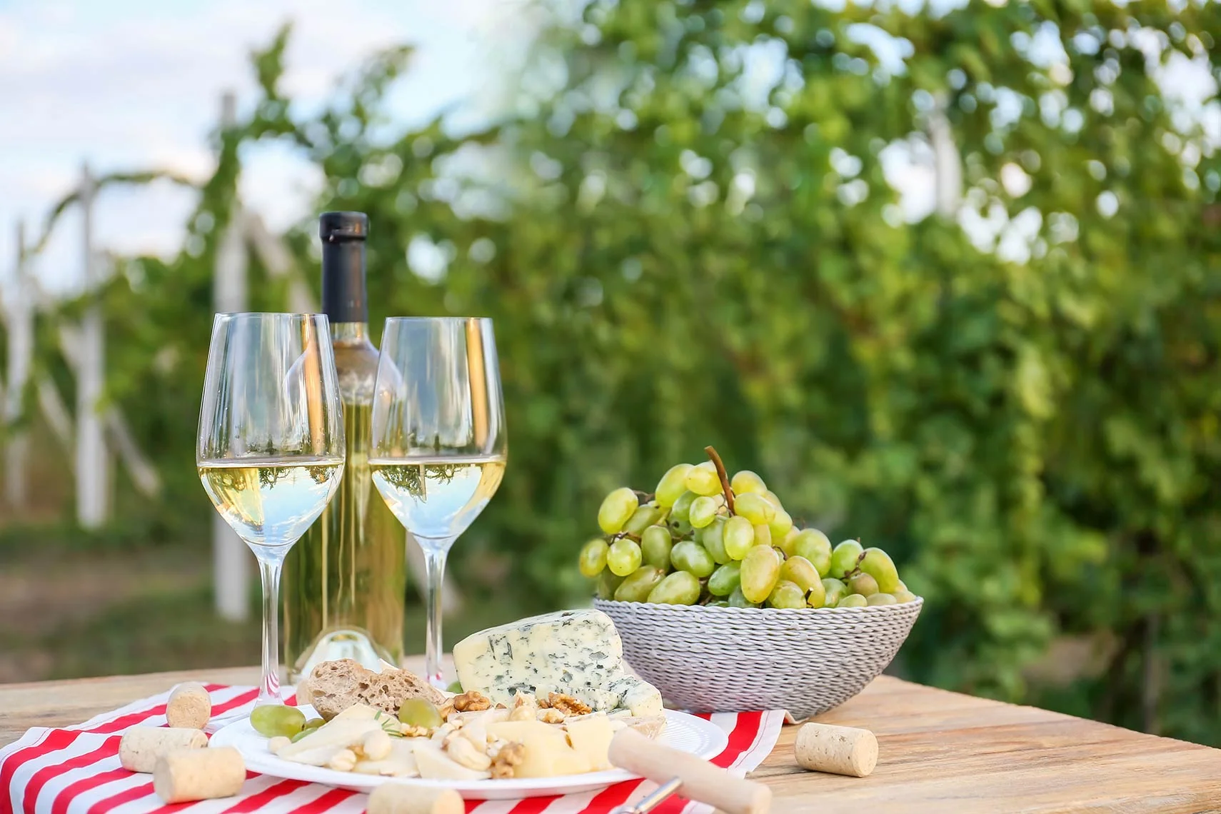 Tastebuds Fine Wine Tasting.jpg