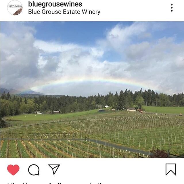 Wow! #rainbow #bluegrouse #cowichanvalley #winetasting #tastebudswines #winelover #wineclub #winewinewine #bcwine