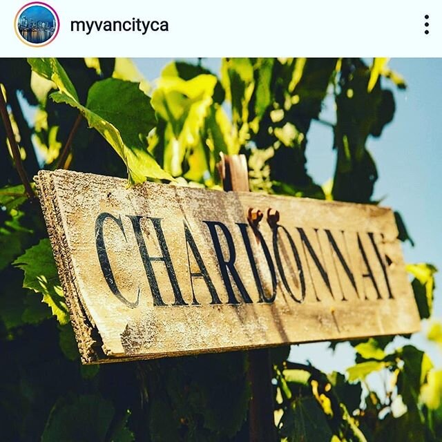 Happy National Chardonnay Day! #whitewine #winetasting #wine #winelover #winelearning #winelover #chardonnay
