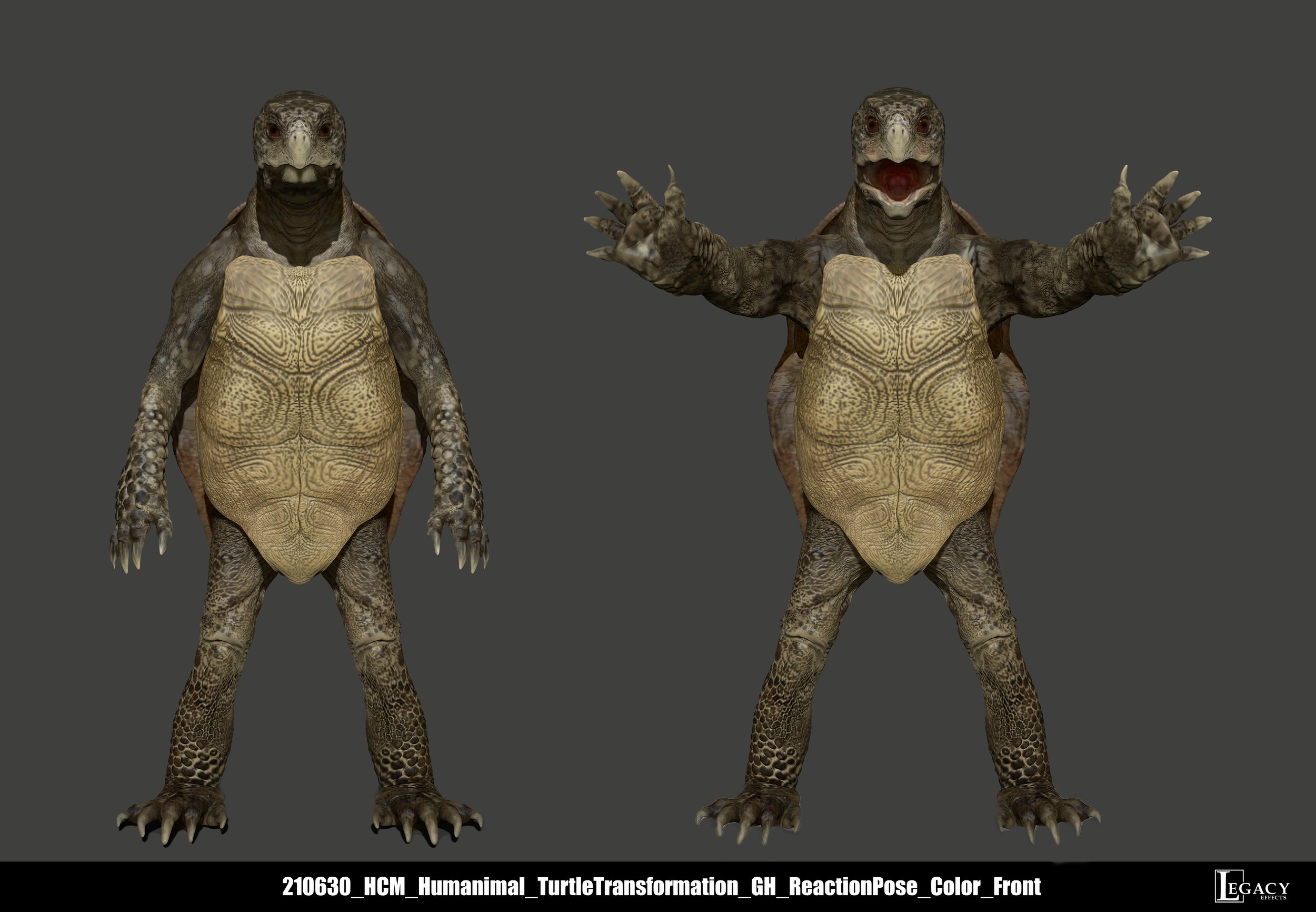 210630_HCM_Humanimal_TurtleTransformation_GH_ReactionPose_Color_Front.jpg