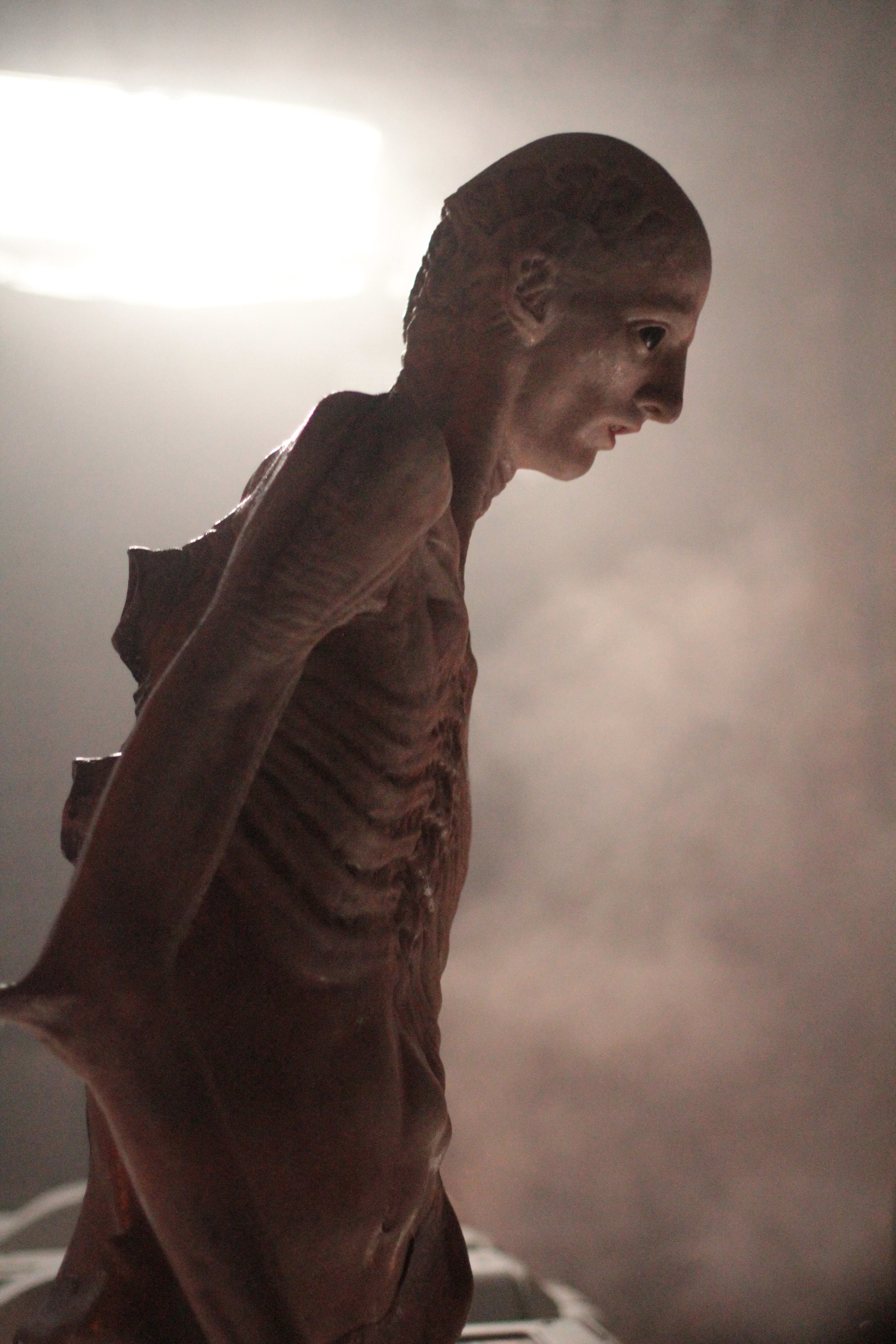 LEG_ROM_OnSet_Offspring_1204.JPG