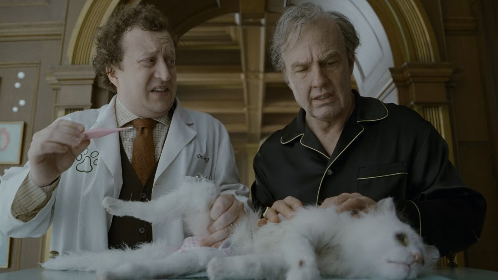 digger-and-a-vet-talking-over-digger-s-decrepit-cat-maggie-in-digger.jpg