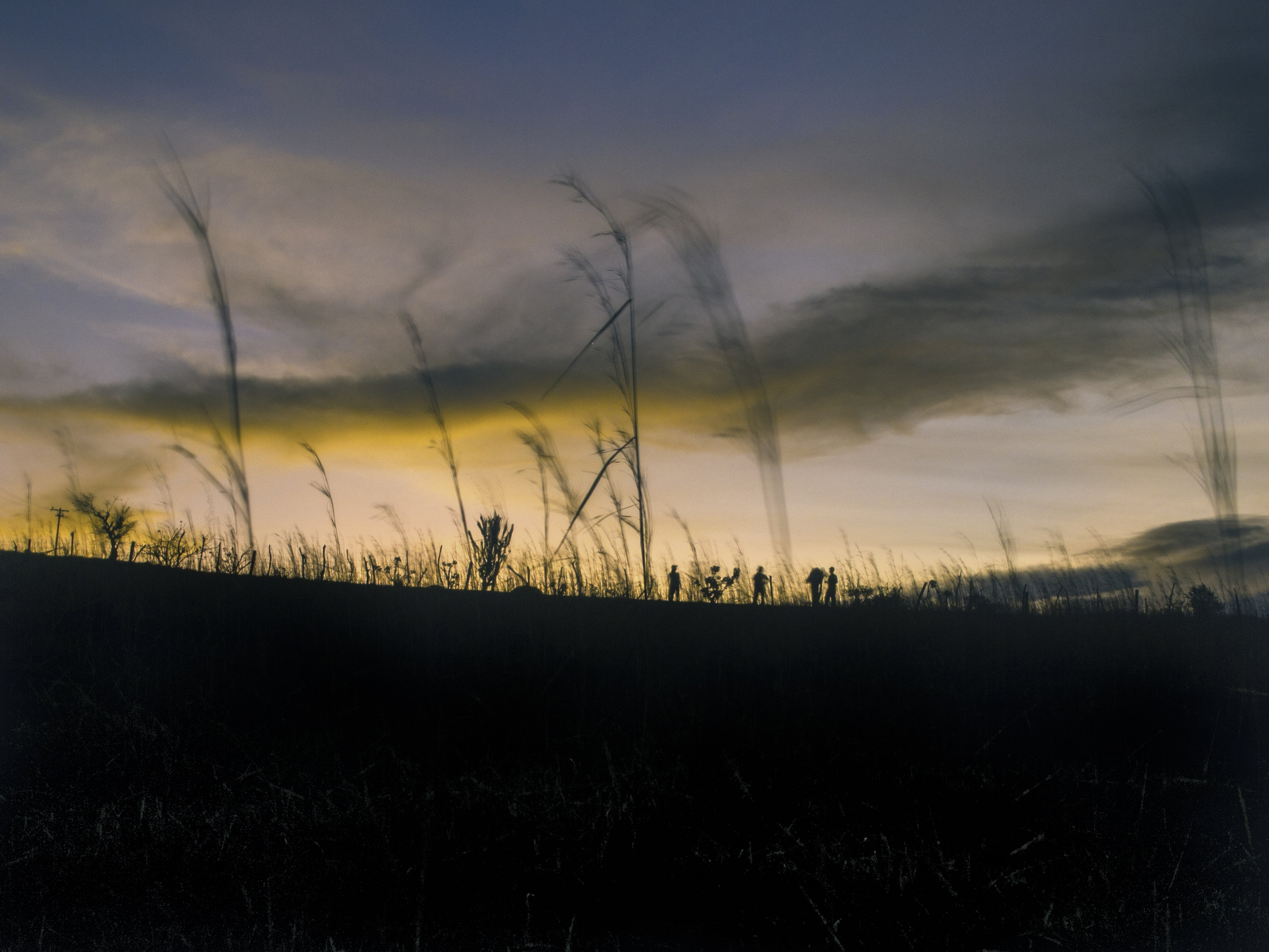 20150117-_MG_5334-Edit.jpg