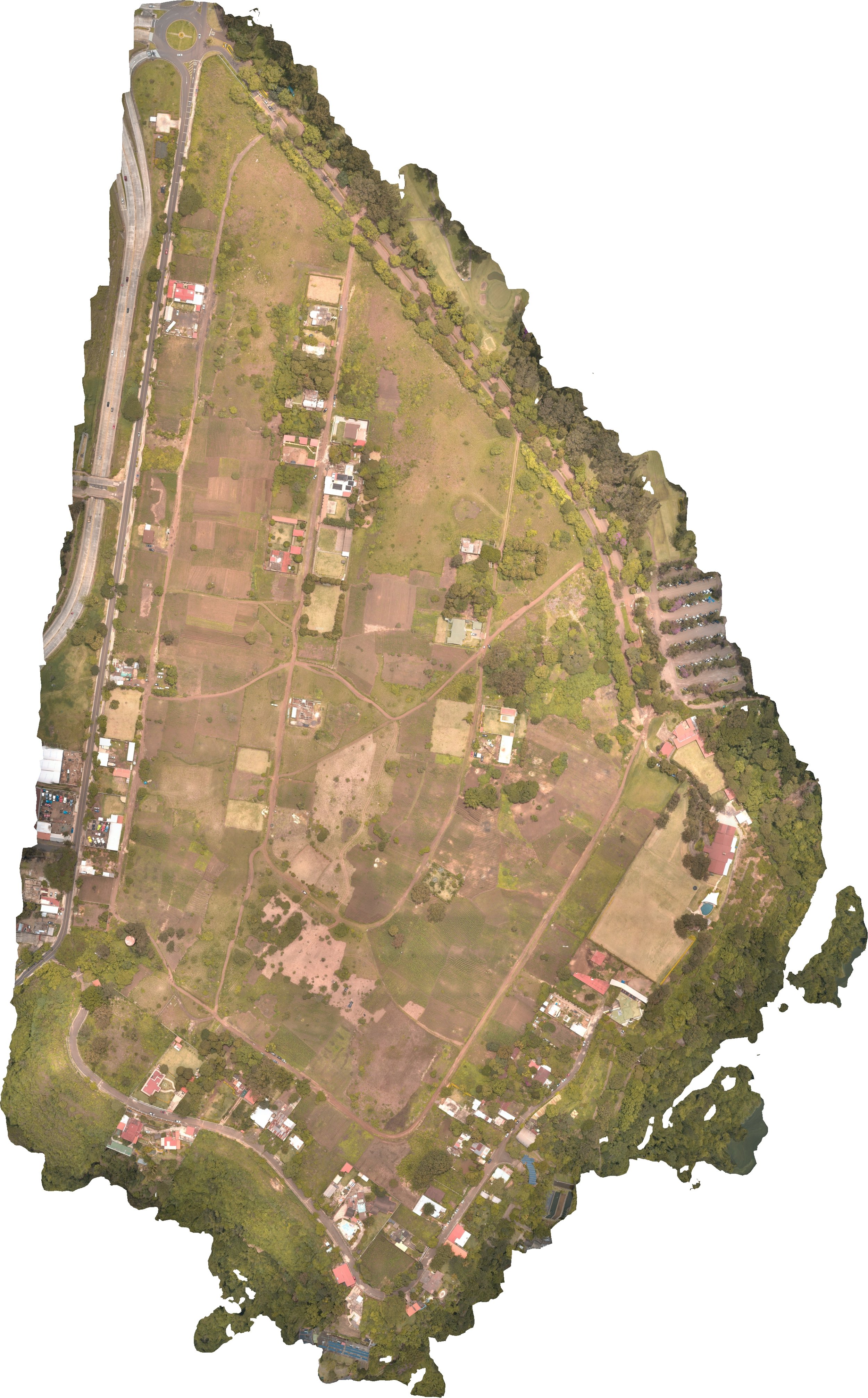 Orthomosaico Low Res.jpg