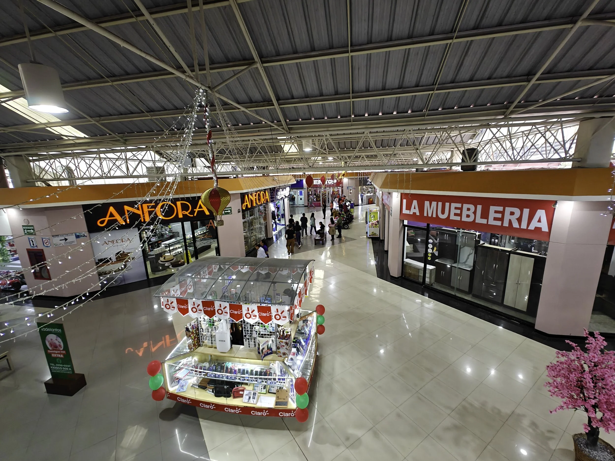 Mega6-2025-45.jpg