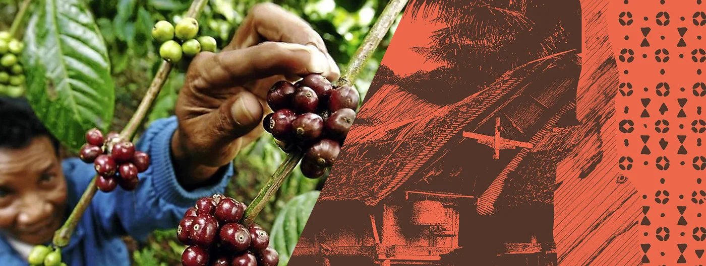 commitment to origin.jpg