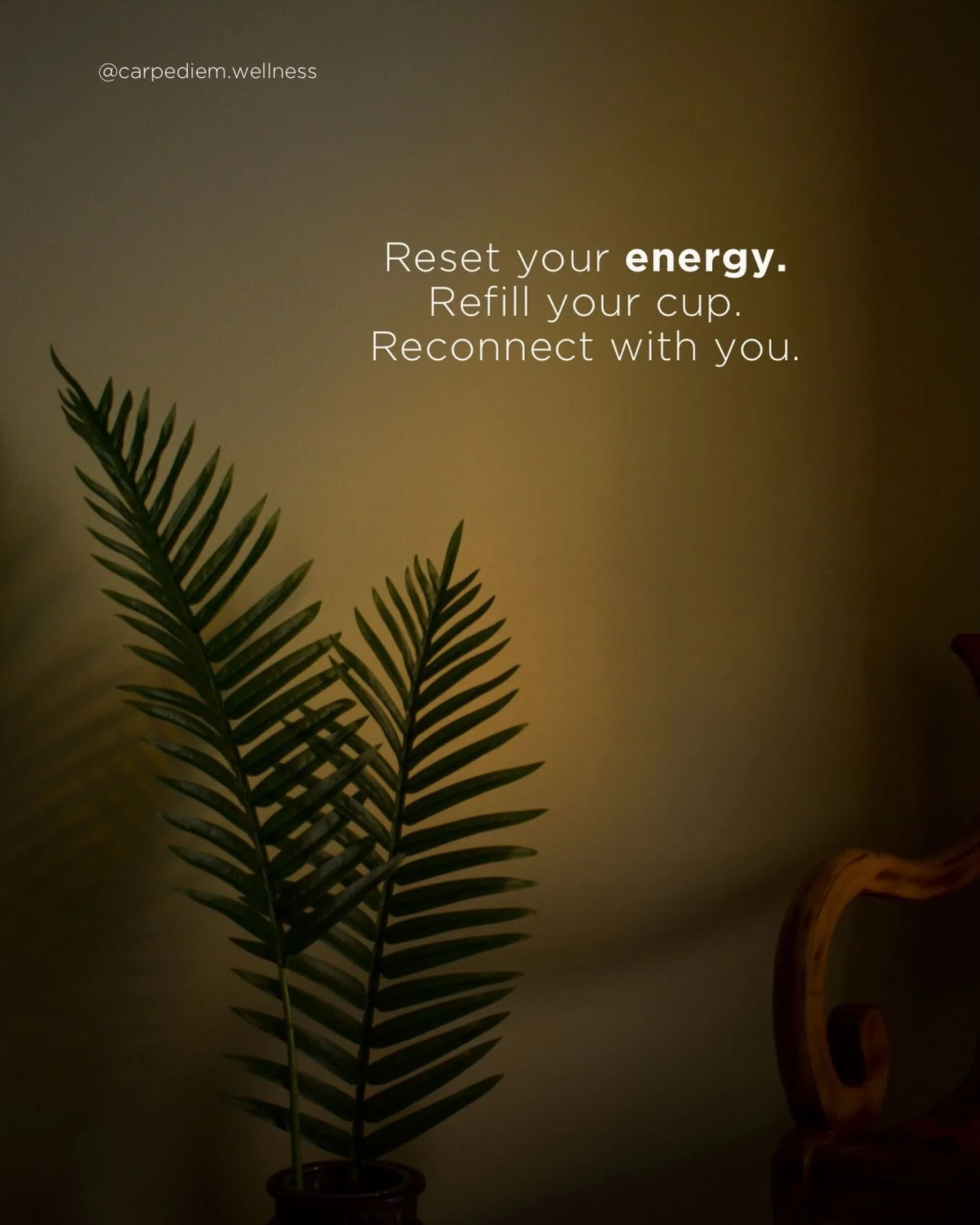 Reset your energy. Refill your cup. Reconnect with you. 🌿
At Carpe Diem Wellness, we guide you to a life-changing, holistic approach to health with Functional Medicine &ndash; your compass toward a healthier lifestyle. Our Body Code sessions help yo
