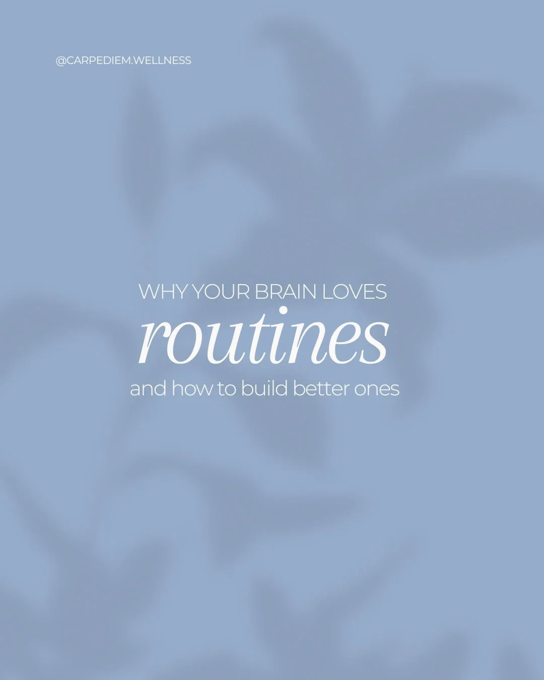 Why your brain LOVES routines &mdash; and how to build better ones 🧠✨

Routines = less stress, more focus, and habits that stick. Start small, stay consistent, celebrate wins. Want a simple 3-step routine to try tomorrow?👇

💬 Tell me your morning 