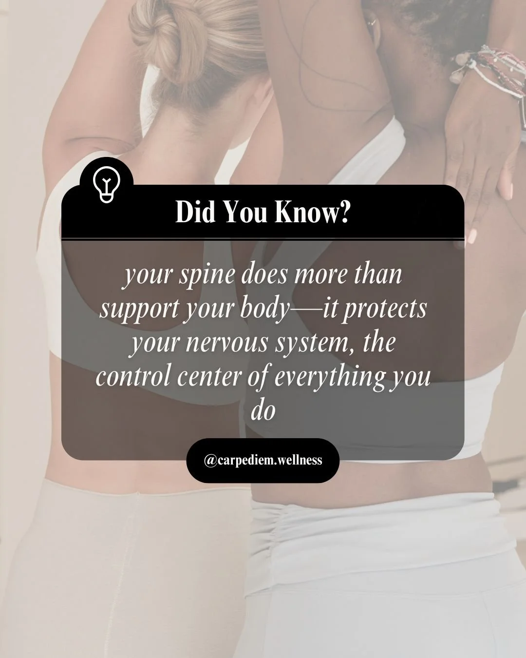 🤓 Fun Fact Friday
Did you know your spine does more than support your body&mdash;it protects your nervous system, the control center of everything you do?
Your nervous system controls:
🧠 Brain communication
💪 Muscle movement
❤️ Organ function
⚡ En