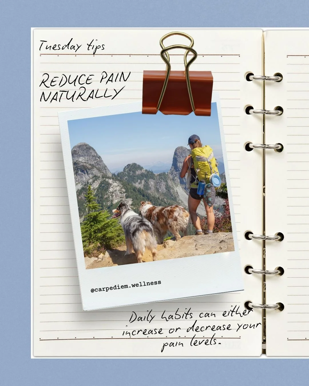 💡 Tips for Tuesday: Reduce Pain Naturally

Daily habits can either increase or decrease your pain levels.
Try this:
🪑 Fix your posture (especially at your desk)
🚶&zwj;♀️ Move every 30&ndash;60 minutes
🧊 Use ice for inflammation, heat for tight mu