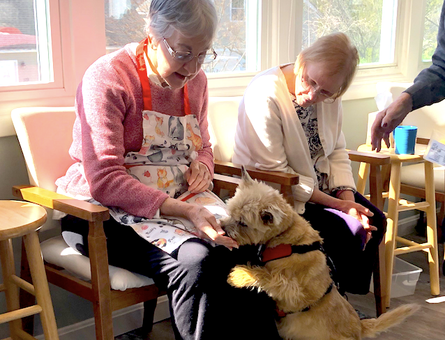 Pet Appreciation Week &amp; Pet Therapy