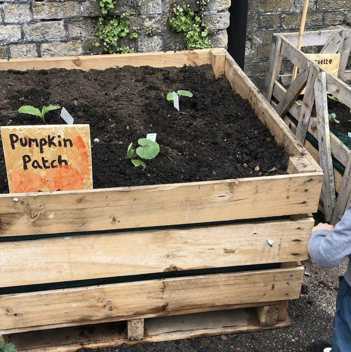 Screenshot 2019-06-23 at 15.41.49.png