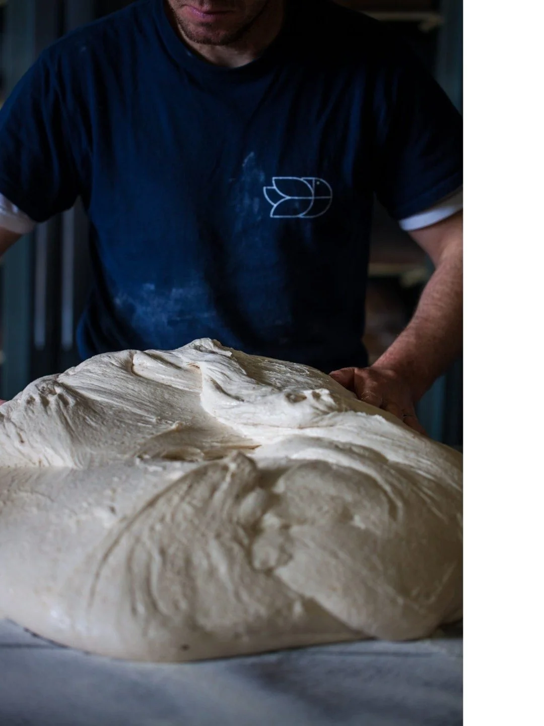 You do not really &ldquo;master&rdquo; sourdough.

You learn to pay attention to it.
starter changes.
room changes.
flour changes.
temperatures changes
weather changes

And good bread comes from noticing what changed. 

#sourdoughbakery #f