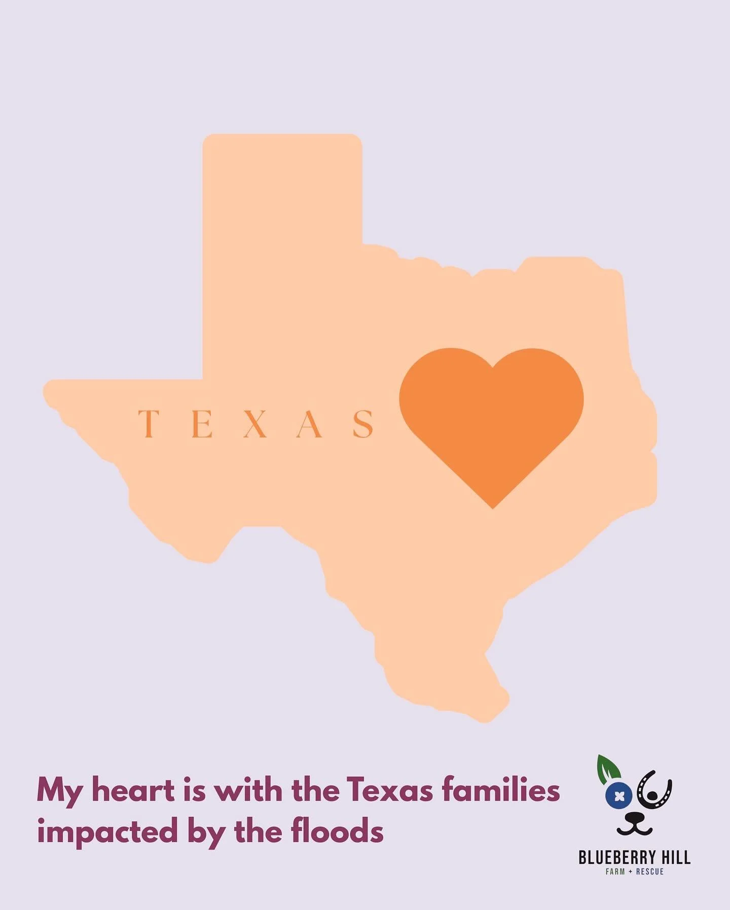 My heart has been so heavy since the tragedy on July 4th.  So many innocent lives lost. When reading about all the young souls taken from Camp Mystic, I came across the precious Eloise Peck, who seemed to love helping animals just as much as I do - a