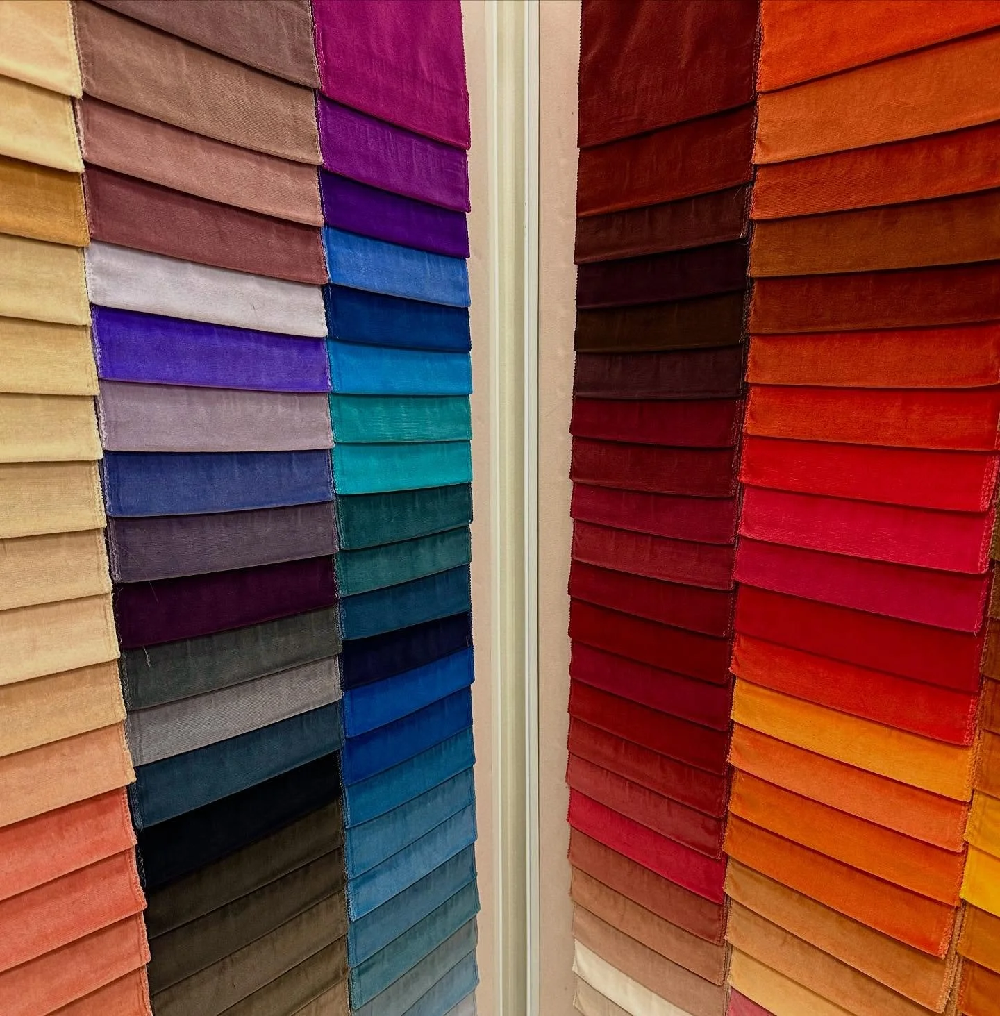 If you could choose any velvet color, which would you choose? 🧸 @schumacher1889