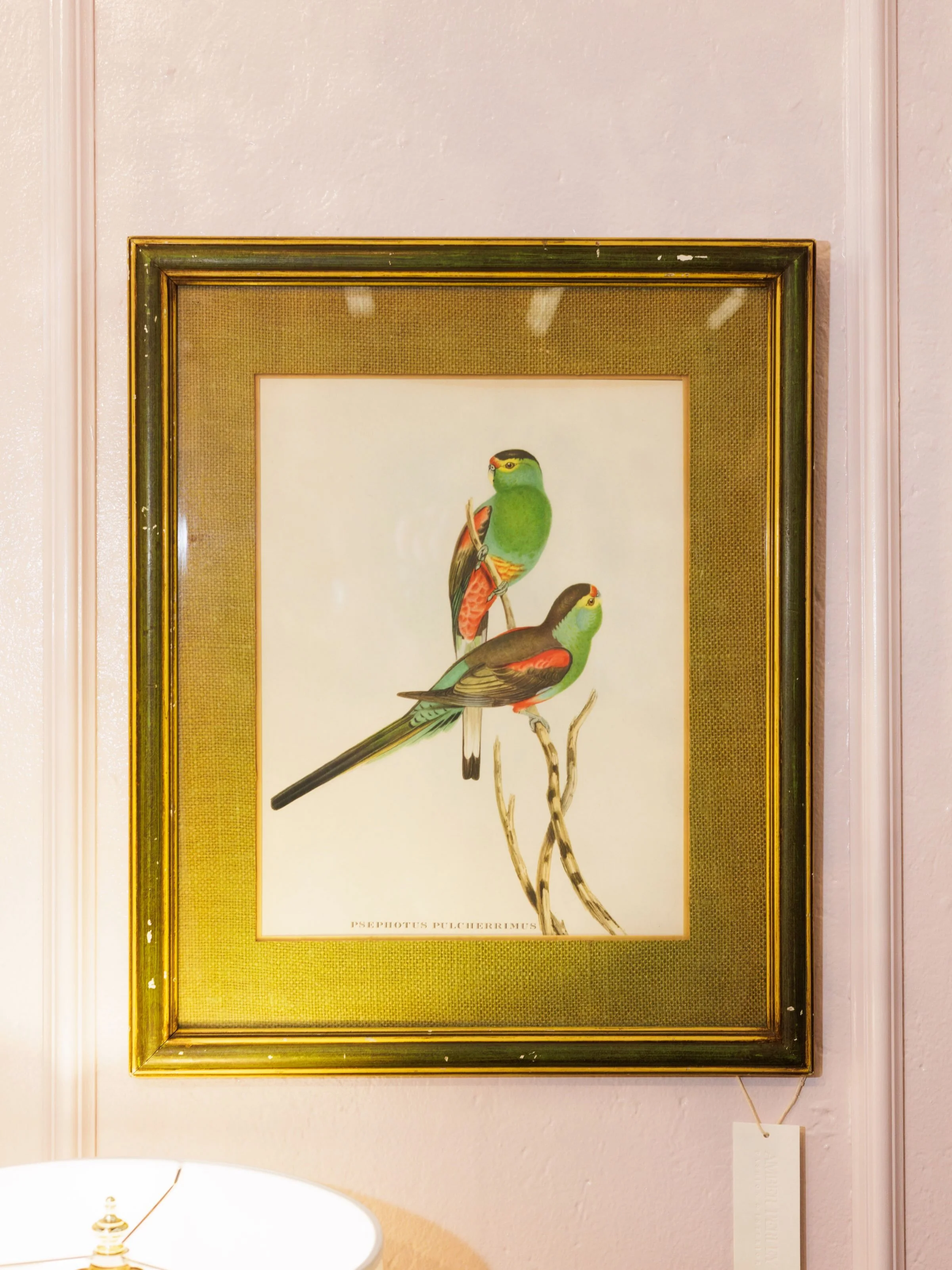 🦜🦜 Add a tropical accent to your space. 
This antique print is framed by a green burlap mat and green wood frame with gold accents. A beautiful, natural, and historic piece of art. 

Vintage Framed Ornithology Print - &ldquo;Song Birds&rdquo; (Psep