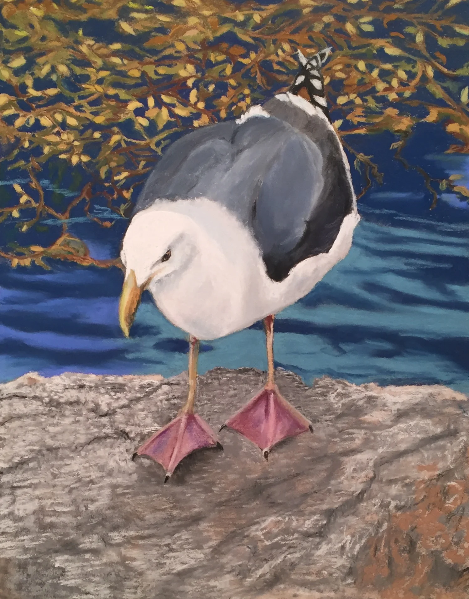 thegull.jpg