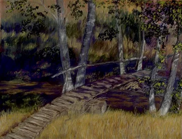 creekcross.jpg