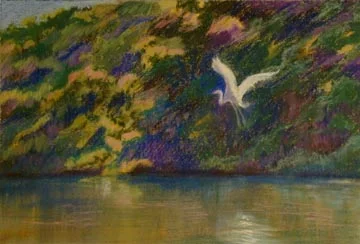 egret.jpg