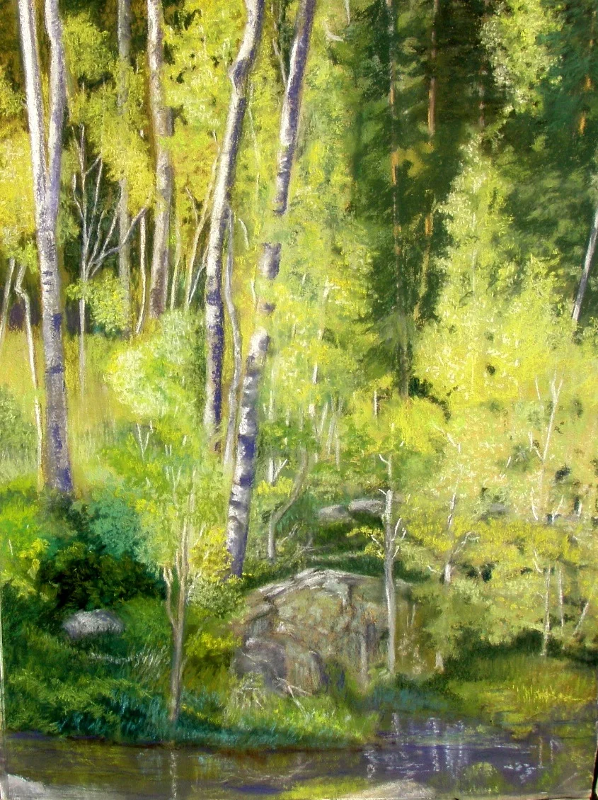 Sierra Aspen.jpg