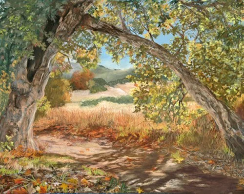 sycamore1.jpg