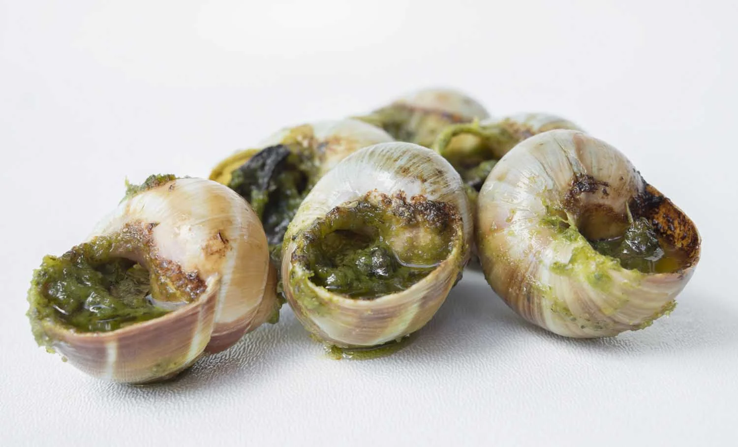 Escargot-1.jpg