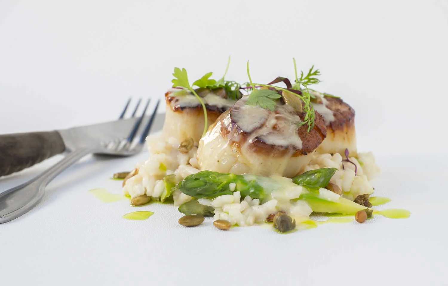 Scallops.jpg