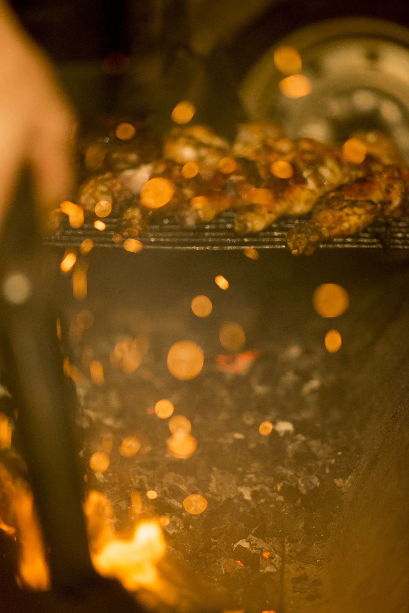 _DSC7470.jpg