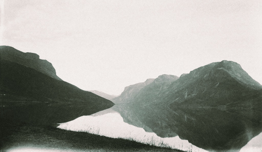 wilderness-2.png