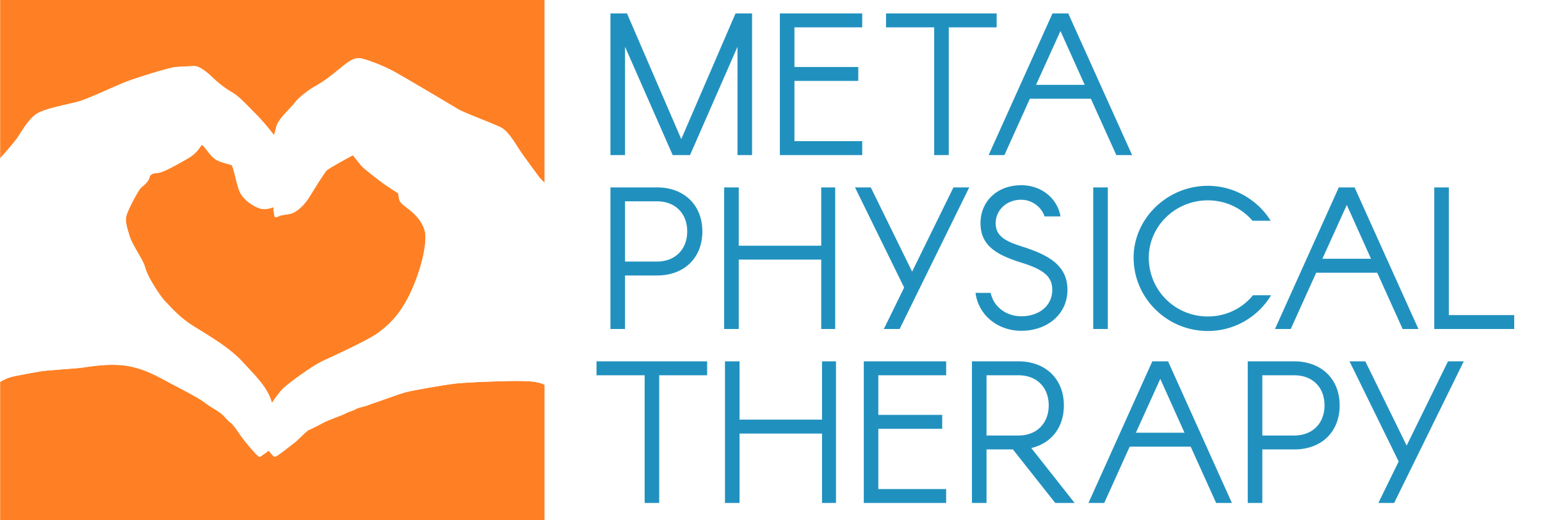 META PHYSICAL THERAPY