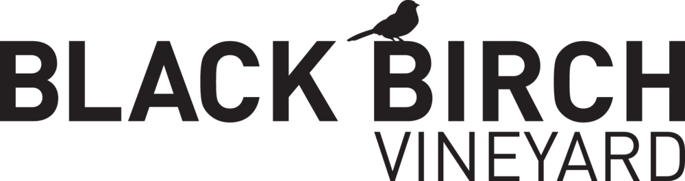 12_BBV_logo_B-2.png