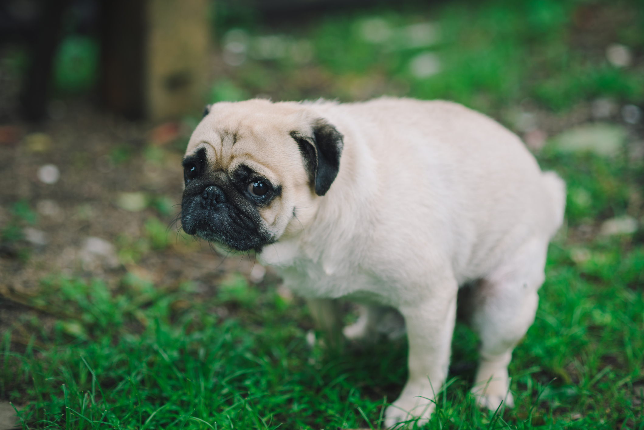 Photo by NUKUL2533/iStock / Getty Images