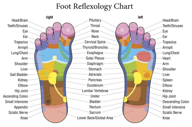 TEN TIPS: for Better Health Through Reflexology - by Lori Wimbish                    