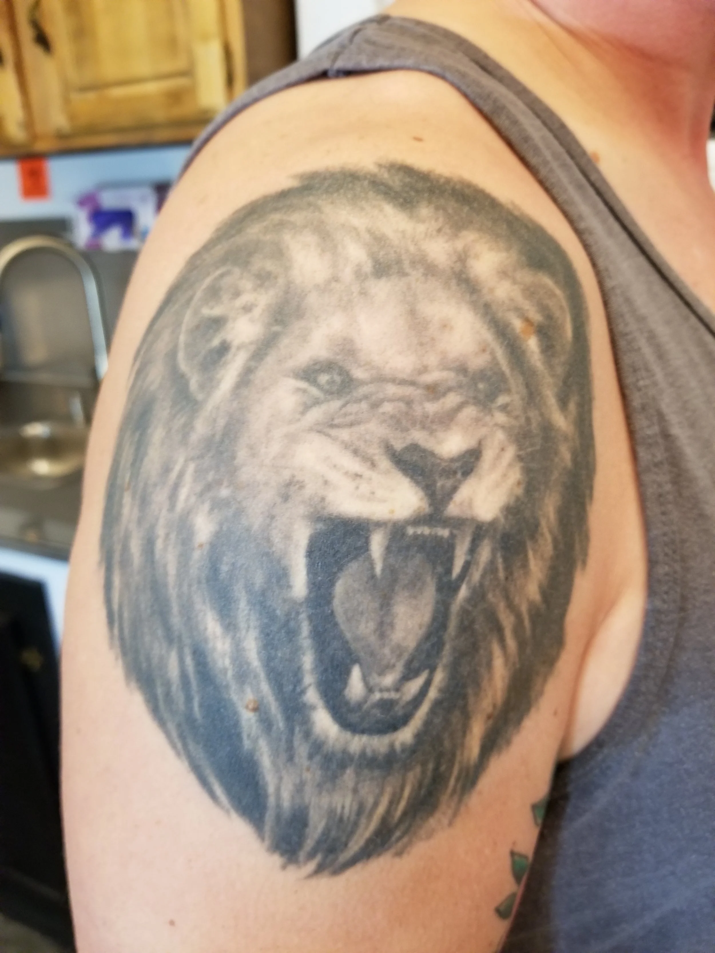 Lion