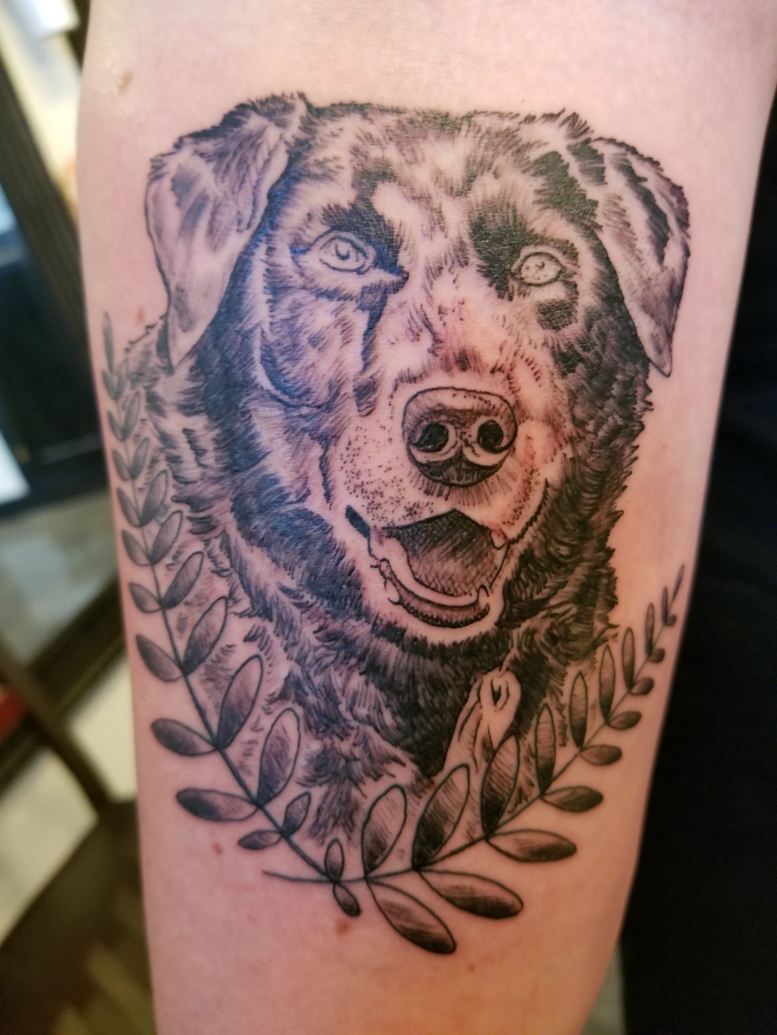 Portrait of Bear