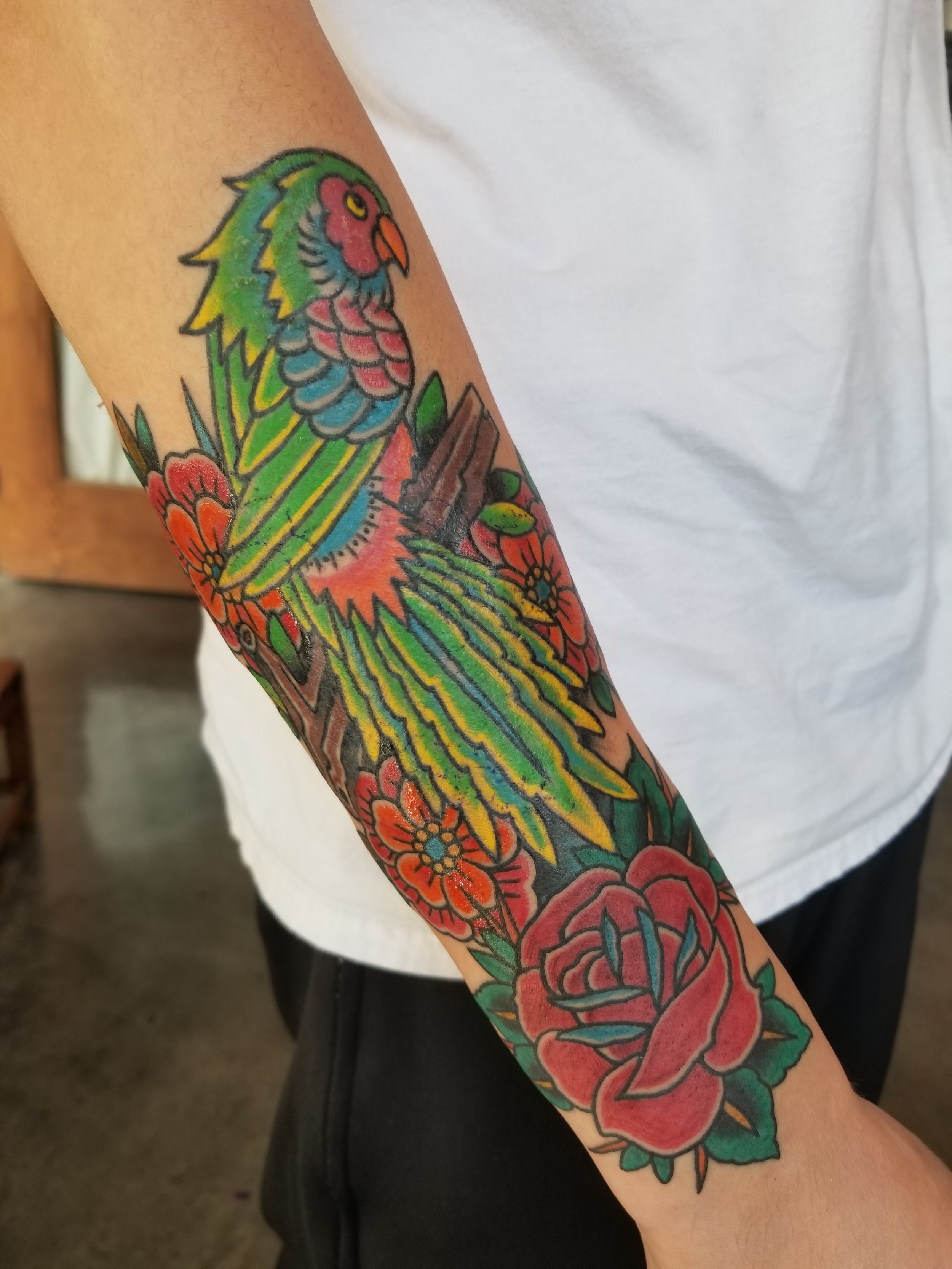 Parrot, flowers  and rose