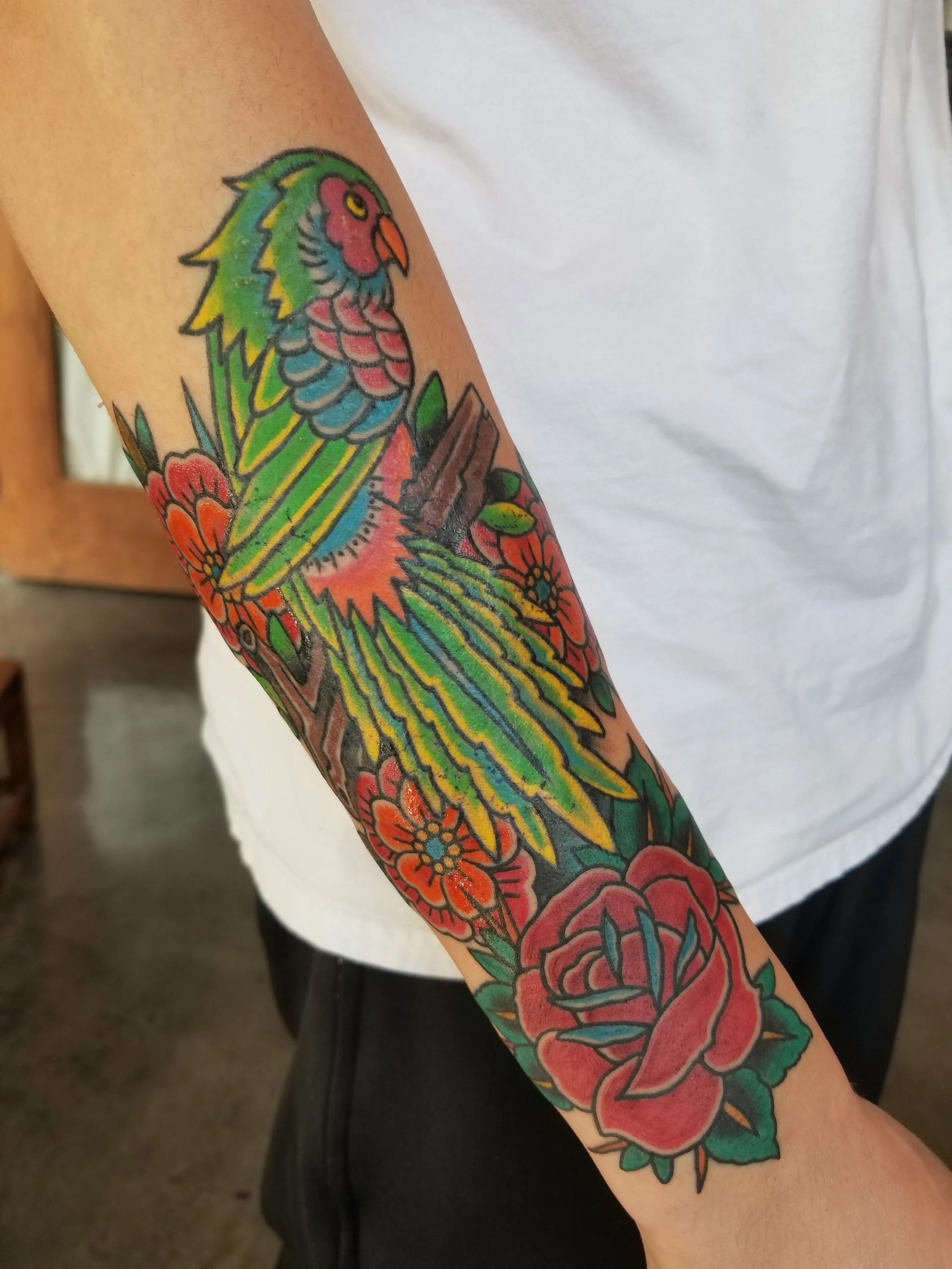 Parrot, flowers and rose