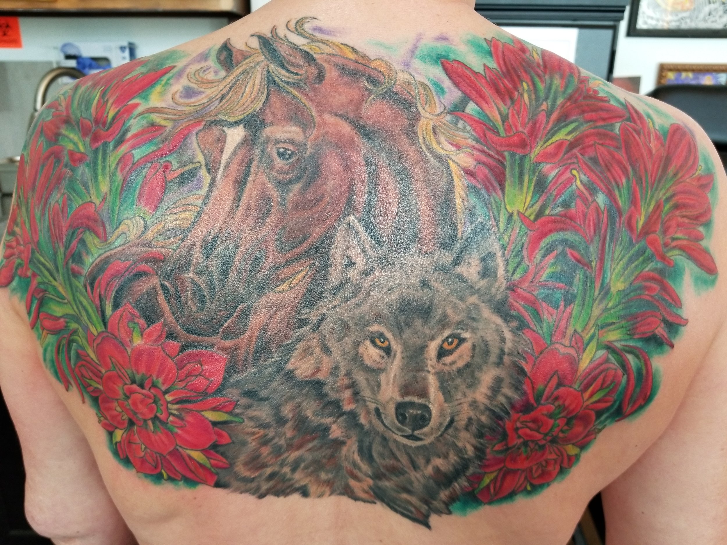 Horse, wolf and Indian paintbrush