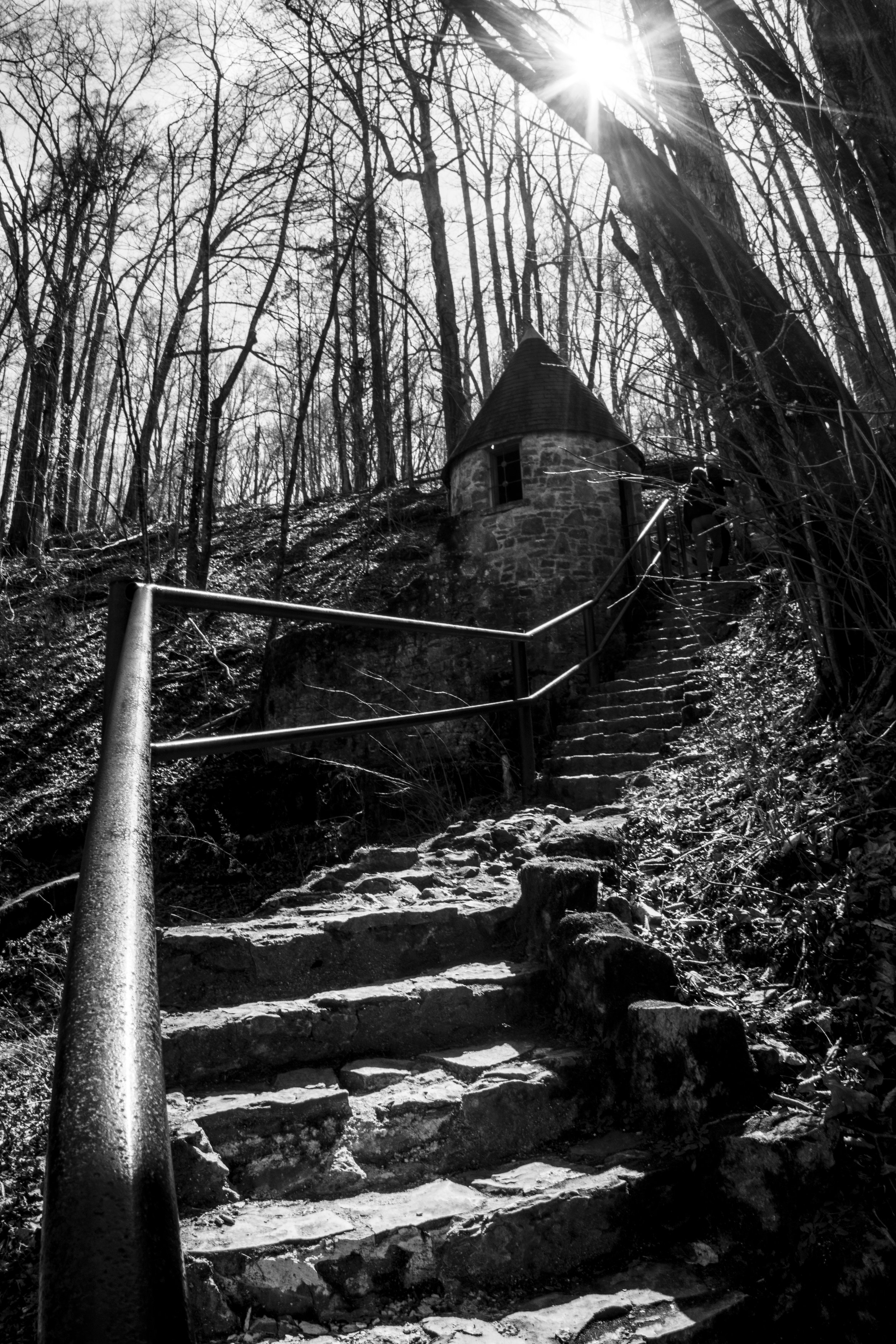 _DSC0996.jpg